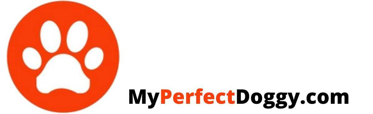 myperfectdoggy.com